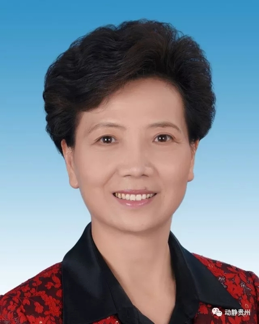 谌贻琴当选贵州省省长，李再勇等8人当选贵州省副省长