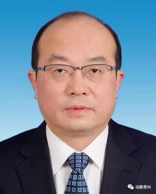 谌贻琴当选贵州省省长，李再勇等8人当选贵州省副省长