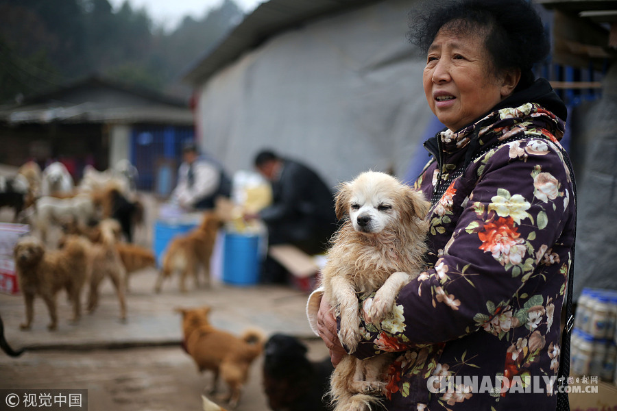 汶川地震中被解救回来的动物在成都的晚年生活