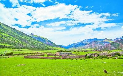 在荒山秃岭间干出个万亩林海