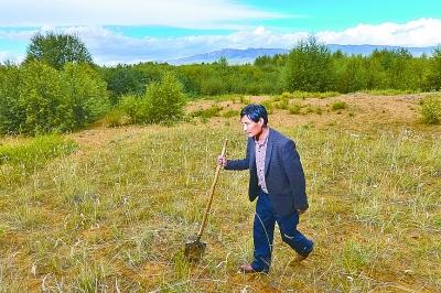在荒山秃岭间干出个万亩林海