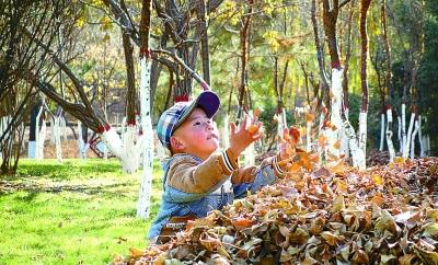 在荒山秃岭间干出个万亩林海
