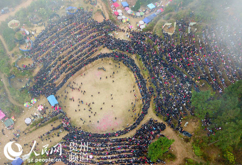贵州从江：斗牛闹春（高清组图）