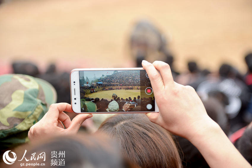 贵州从江：斗牛闹春（高清组图）