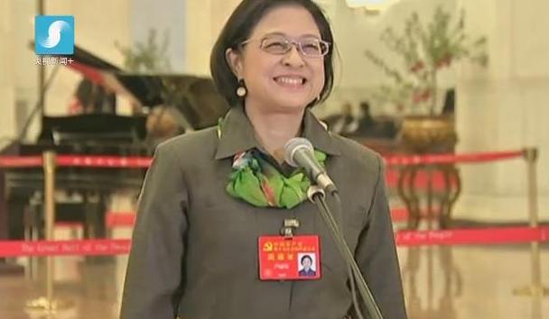 2017感动中国十大人物 | 卢丽安——爱国爱乡的台湾籍党代表