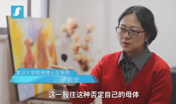 2017感动中国十大人物 | 卢丽安——爱国爱乡的台湾籍党代表