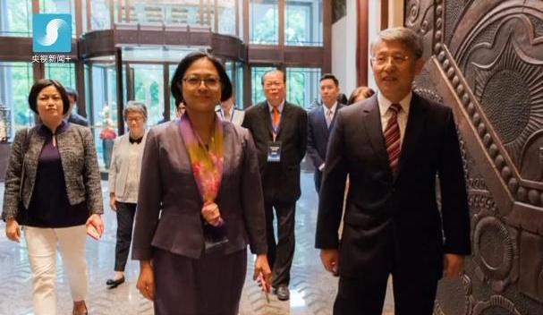 2017感动中国十大人物 | 卢丽安——爱国爱乡的台湾籍党代表