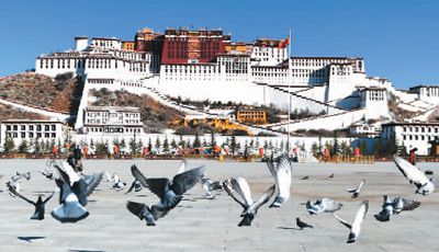 西藏发展进入历史最好时期