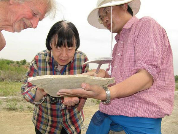 “世界杰出女科学家”张弥曼：用一个甲子的时光解密远古化石谜团