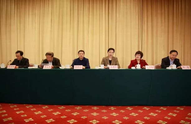 “长江云平台建设研讨会”在武汉举行