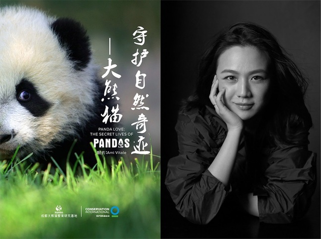 保护国际与成都大熊猫繁育研究基地携手汤唯发布2018公益VR新片