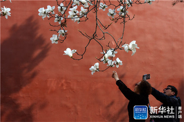 北京市西城区弘扬红墙意识深化改革发展纪实