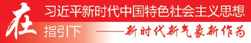 [新时代 新气象 新作为]北京市西城区践行“红墙意识”：提升城市发展新高度