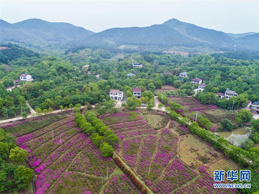新华社评论员：厚植生态文明 耕耘美丽中国