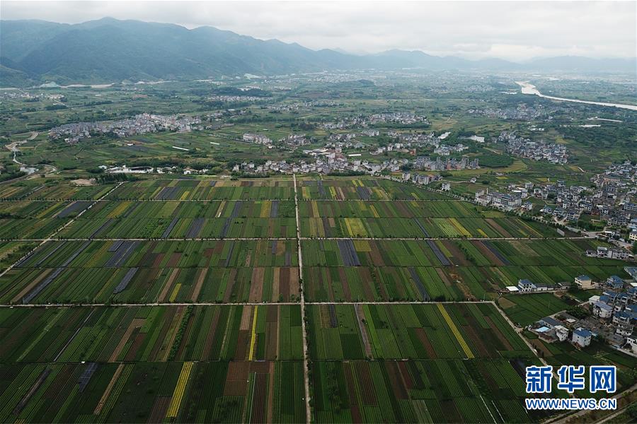 浙江“千万工程”全面提升乡村人居环境