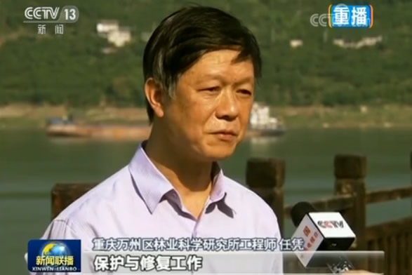 牢记总书记嘱托：长江上下游同发力 保生态促发展