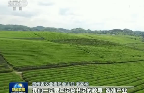 牢记总书记教导:贵州“一减一增”推进农业供给侧改革
