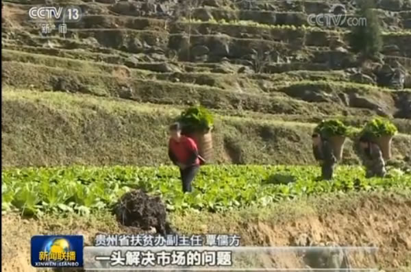 牢记总书记教导:贵州“一减一增”推进农业供给侧改革