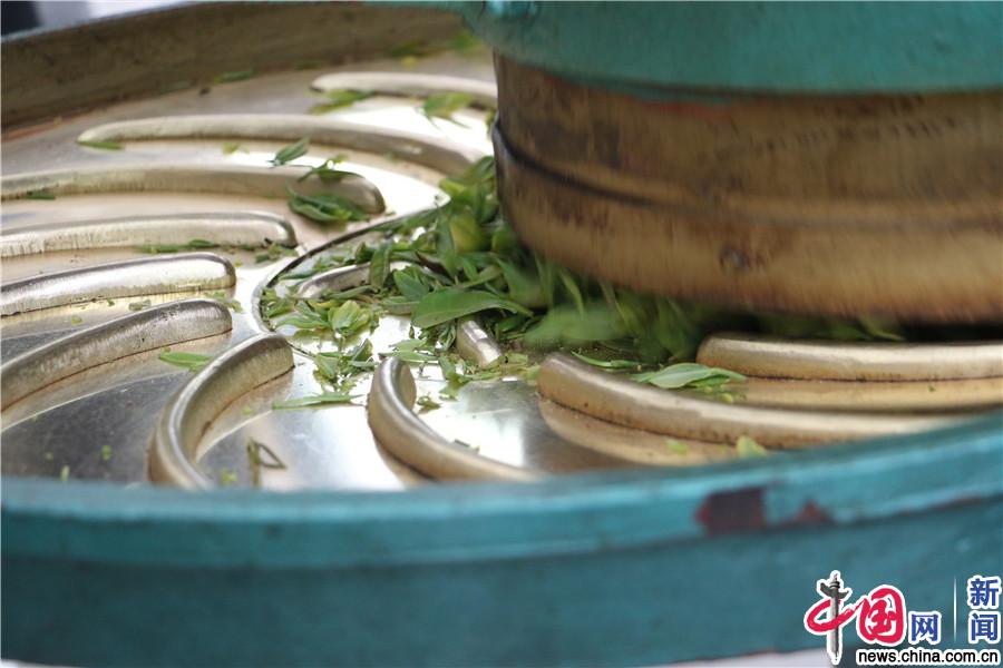错那县勒门巴民族乡：独一无二“勒仓莲” 乡民致富好帮手
