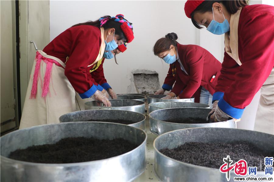错那县勒门巴民族乡：独一无二“勒仓莲” 乡民致富好帮手
