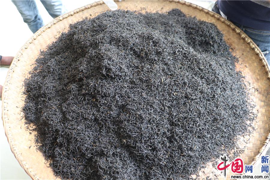 错那县勒门巴民族乡：独一无二“勒仓莲” 乡民致富好帮手