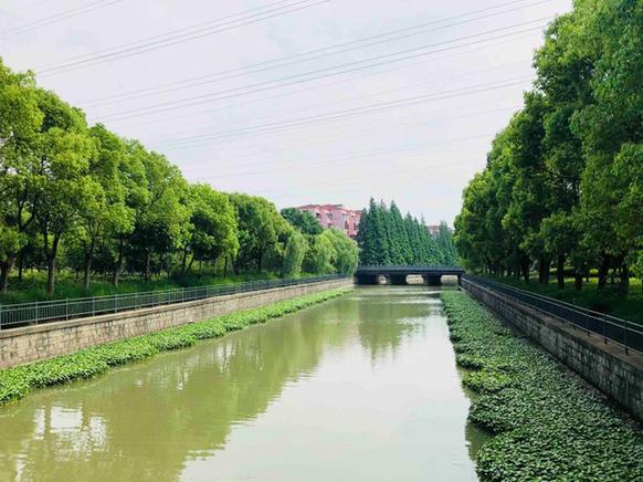 【美丽中国长江行】上海这片曾被国务院挂牌督办的区域，如今变身中环边的“海绵城市”