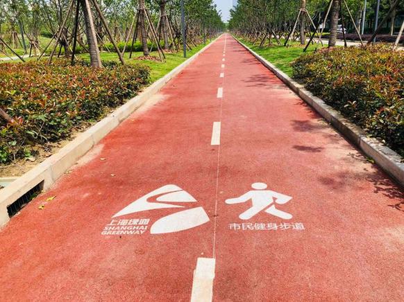 【美丽中国长江行】上海这片曾被国务院挂牌督办的区域，如今变身中环边的“海绵城市”