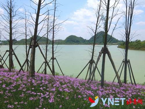 【美丽中国长江行】贵安新区：湖光山色背后的“高科技”