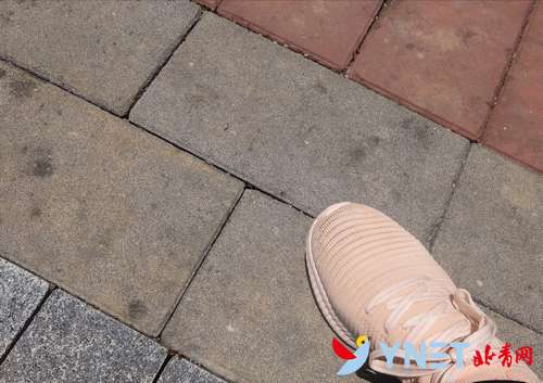 【美丽中国长江行】贵安新区：湖光山色背后的“高科技”