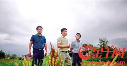 【中国梦·践行者】村民从疑惑到竖起大拇指 他们用赤诚之心为贫困村贡献青春和才智