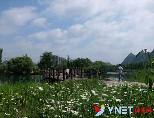 【美丽中国长江行】生态优先绿色发展，访黔贵大地，为大美贵州点赞！