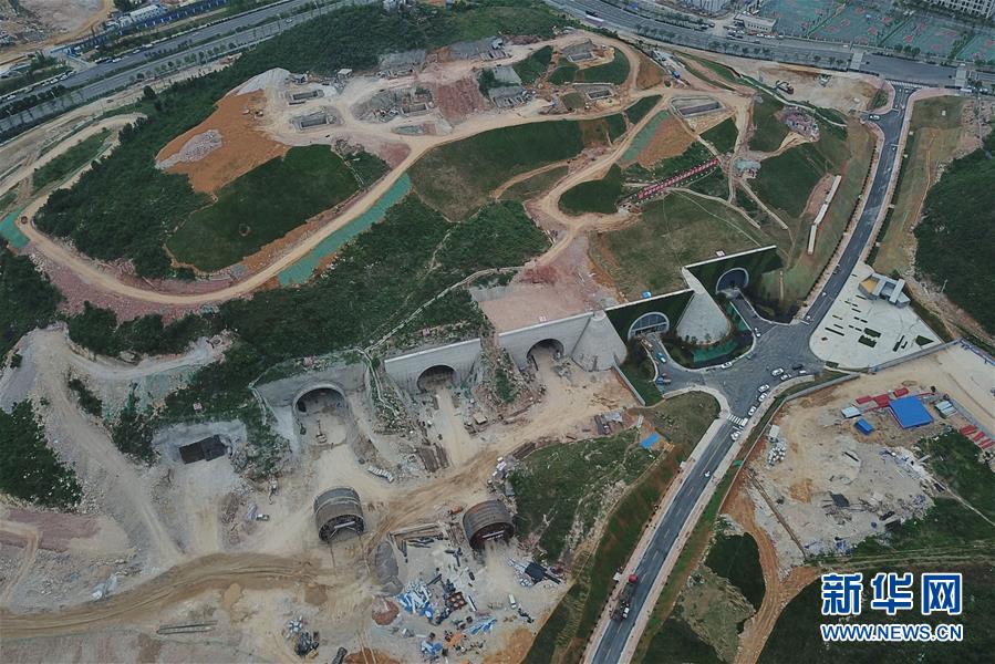 “智慧树”，在绿水青山间茁壮成长——解码全国首个大数据综合试验区