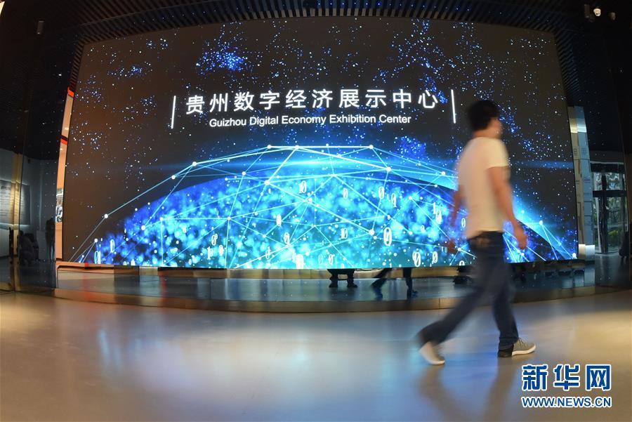 “智慧树”，在绿水青山间茁壮成长——解码全国首个大数据综合试验区