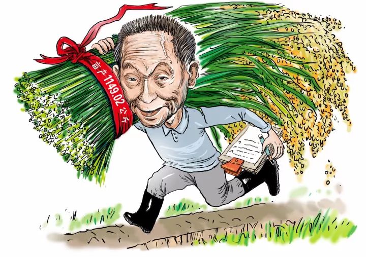 穿35元衣服，喂饱8亿人！这个中国专家又在迪拜沙漠种出了水稻