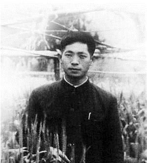 穿35元衣服，喂饱8亿人！这个中国专家又在迪拜沙漠种出了水稻
