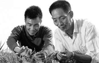 穿35元衣服，喂饱8亿人！这个中国专家又在迪拜沙漠种出了水稻