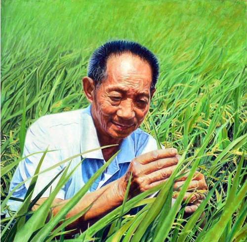 穿35元衣服，喂饱8亿人！这个中国专家又在迪拜沙漠种出了水稻