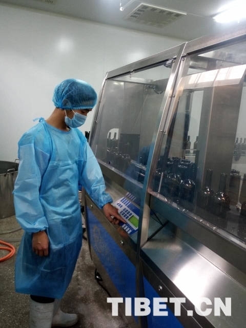 图为达美拥酒厂内的高原有机酿酒葡萄标准化种植示范园（图片由曲措提供）