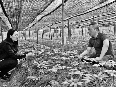 云南省科技支撑精准脱贫增添新动能
