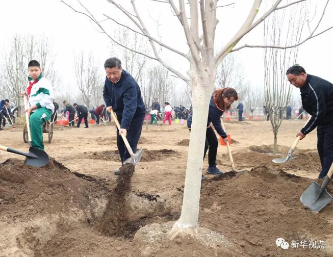 习近平生态文明思想金句