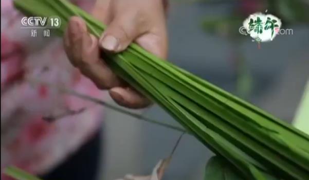 【端午节民俗】端午节“三种武器”：艾草 菖蒲 大蒜头