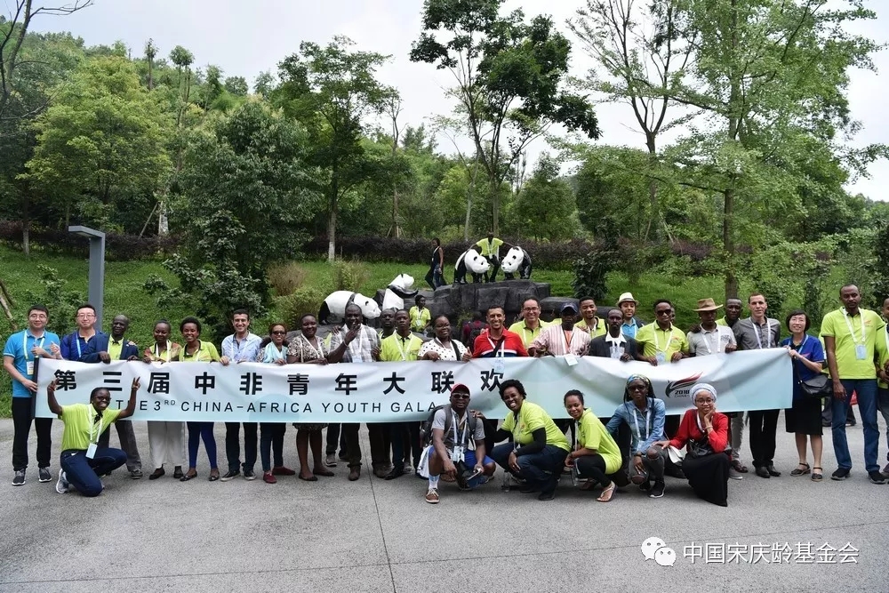 与大熊猫近距离接触、体验青城太极、参观都江堰水利工程——中非青年感受天府之国精彩魅力