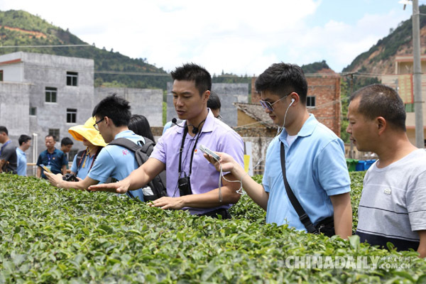 【脱贫攻坚在行动】茶叶不仅有益健康，还能帮助脱贫？看桂林村是如何做到的！