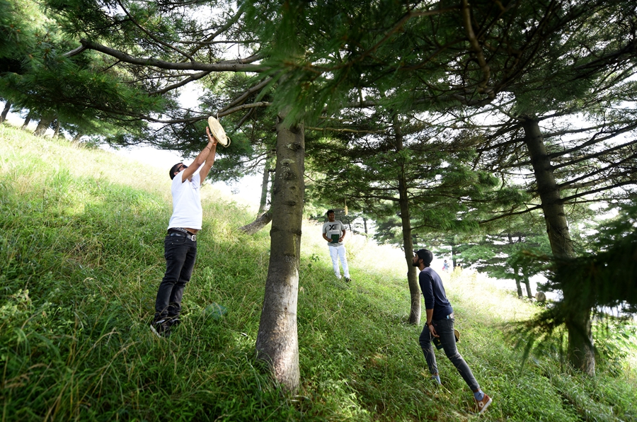 认养长江保护林 倡导生态保护