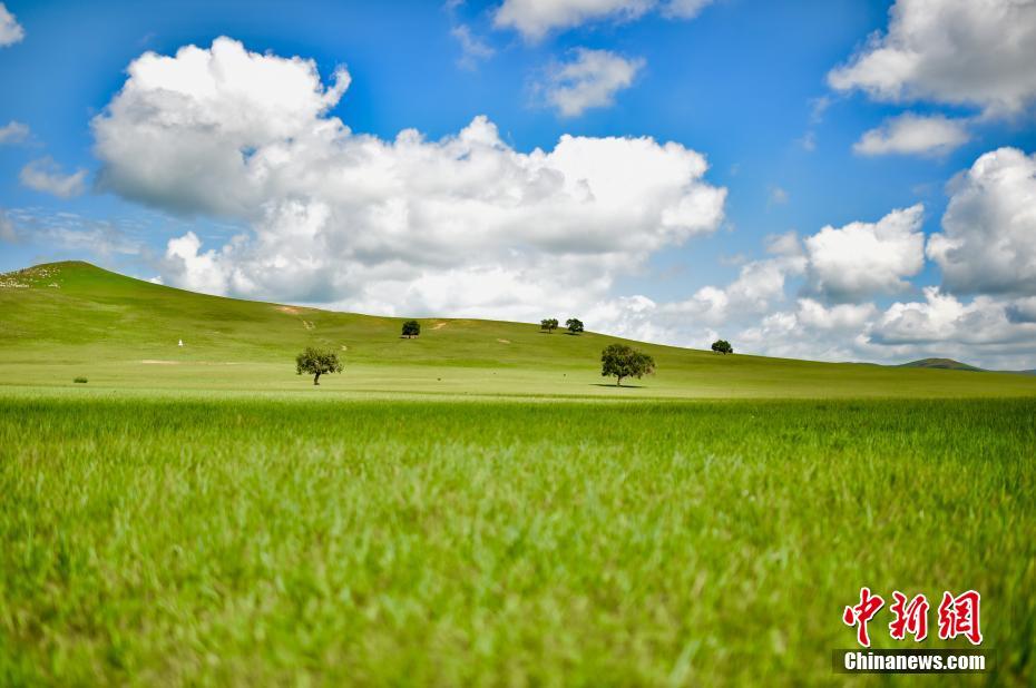【新时代·幸福美丽新边疆】“最美乡村”脑干宝力格嘎查 来自草原的明信片