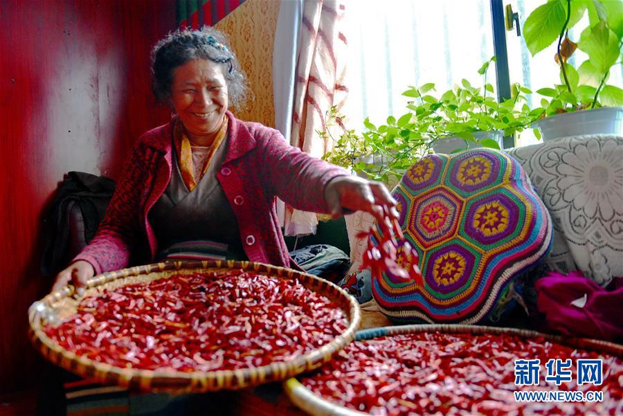 西藏日喀则：玛嘎村的幸福生活