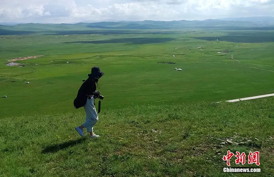 天苍苍野茫茫……盛夏，这里有内蒙古大草原最美的样子