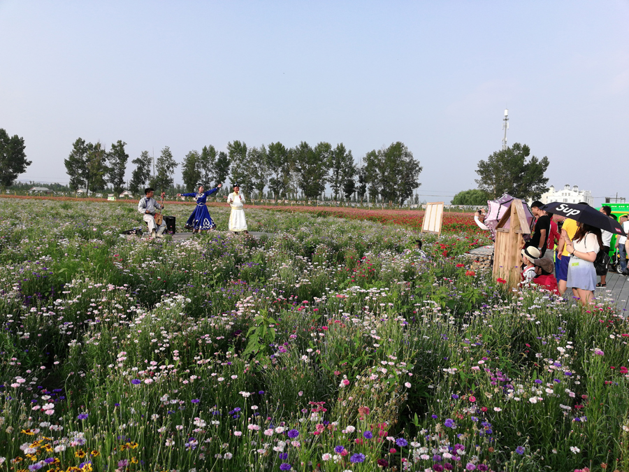 内蒙古首届网红草原行活动在乌兰察布市举行