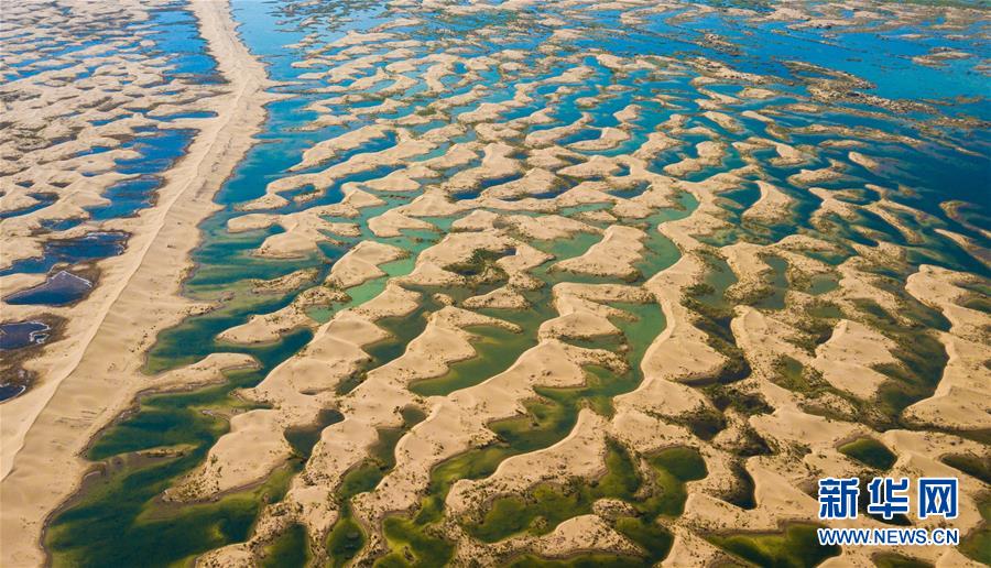 绿富同兴画卷在沙海中铺展——库布其沙漠生态治理纪实