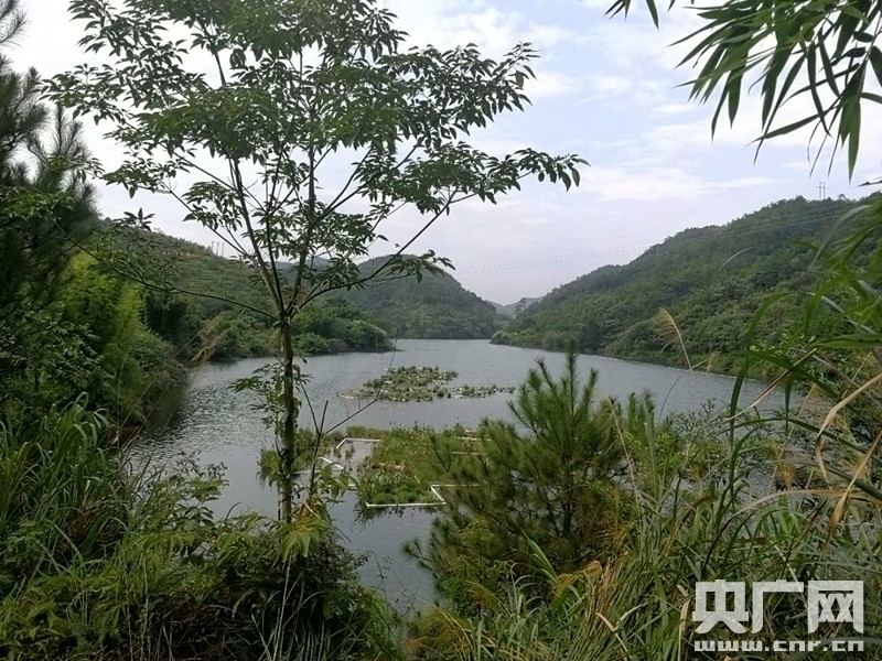 【改革开放江西印记】水清岸绿河畅景美 江西寻乌倾力打造“河长制”升级版